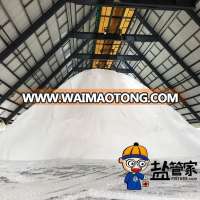 global bulk rock salt