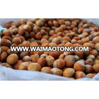 Organic raw hazelnut without shell For Sale