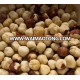 Organic/Common raw hazelnut without shell/Shell For Saale