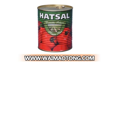 Tomato Paste in Canned Tin 830gr